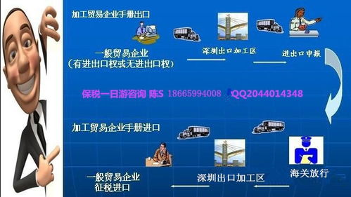 進口清關全攻略 深圳、東莞、惠州必備資料與國內貿易代理解析